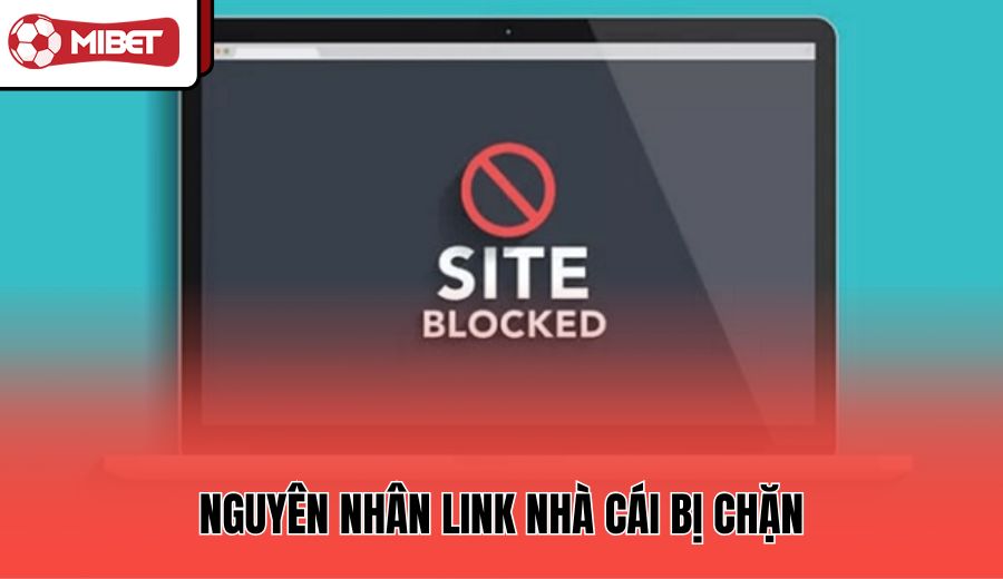 nguyen-nhan-link-nha-cai-bi-chan