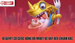 bi-quyet-ca-cuoc-bong-da-mibet-de-bat-keo-chuan-xac