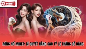 rong-ho-mibet-bi-quyet-nang-cao-ty-le-thang-de-dang