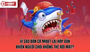 vi-sao-ban-ca-mibet-lai-hap-dan-khien-nguoi-choi-khong-the-roi-mat